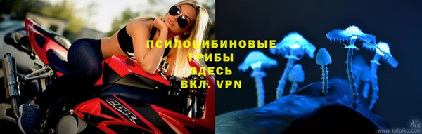 крисы Армянск