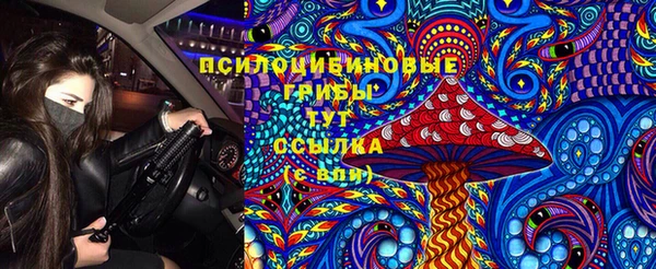крисы Армянск