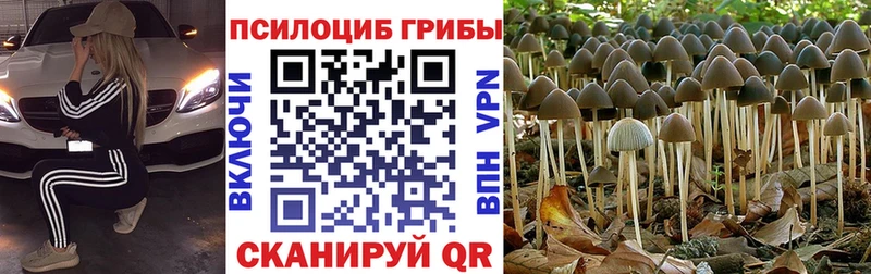 Псилоцибиновые грибы Magic Shrooms hydra ссылка Горно-Алтайск что такое наркотик